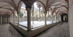 Boschetto-sotto-la-Neve-01.jpg