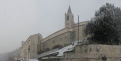 Boschetto-sotto-la-Neve-15.jpg